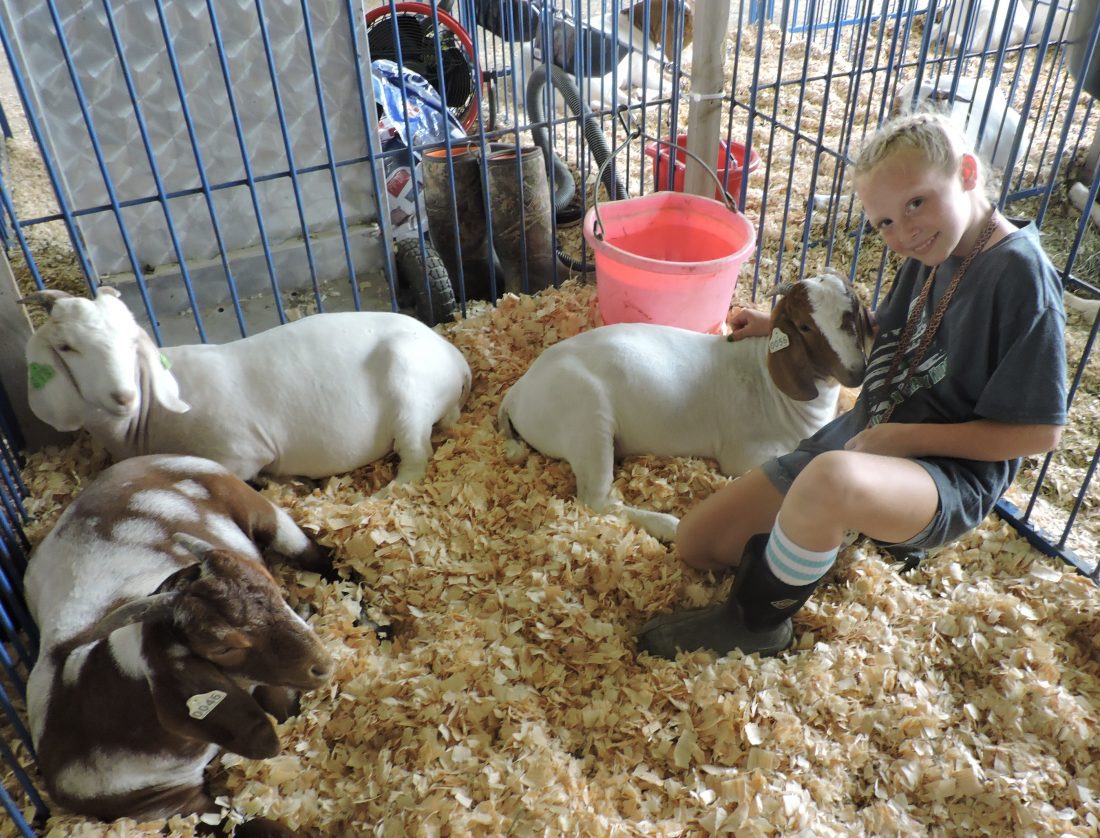 Monroe County Fair set to kick off Monday | News, Sports, Jobs - Vimarsana News